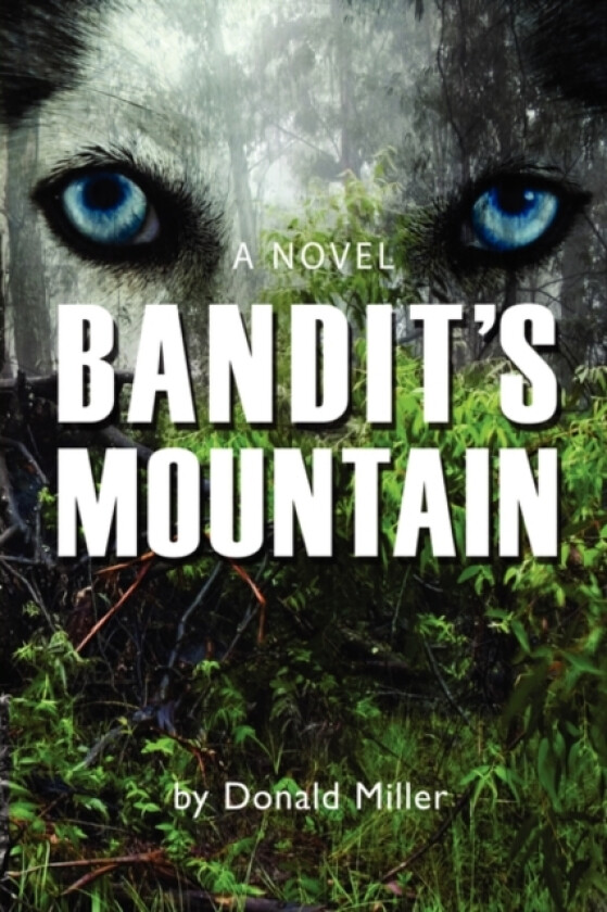 Bandit's Mountain av Donald Miller (Hardcover)