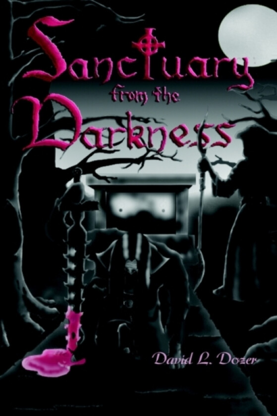 Sanctuary From the Darkness av David L Dozer (Paperback)