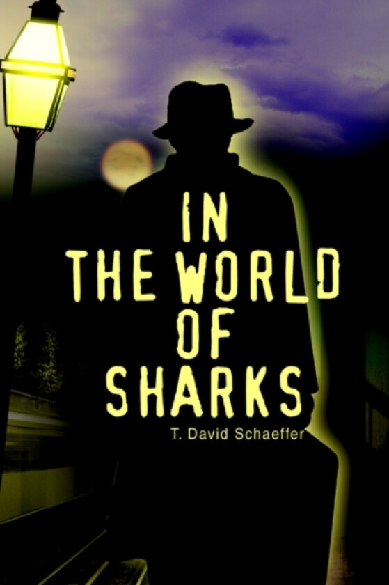 In the World of Sharks av T David Schaeffer (Paperback)