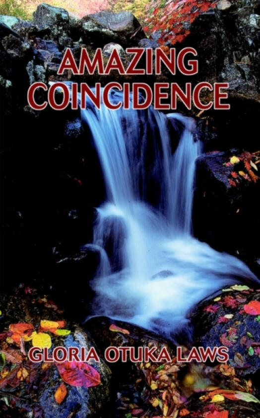 Amazing Coincidence av Gloria Otuka Laws (Paperback)
