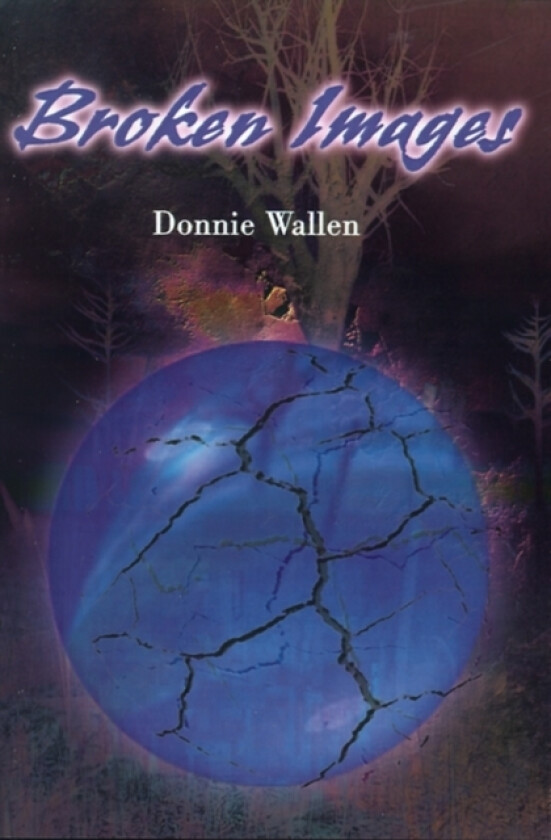 Broken Images av Donnie Wallen (Paperback)