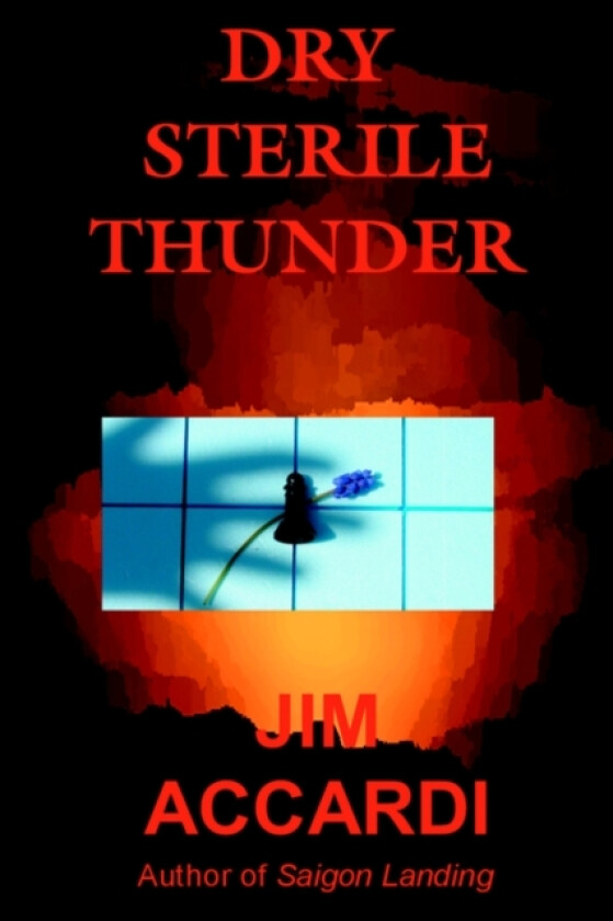 Dry Sterile Thunder av Jim Accardi (Paperback)