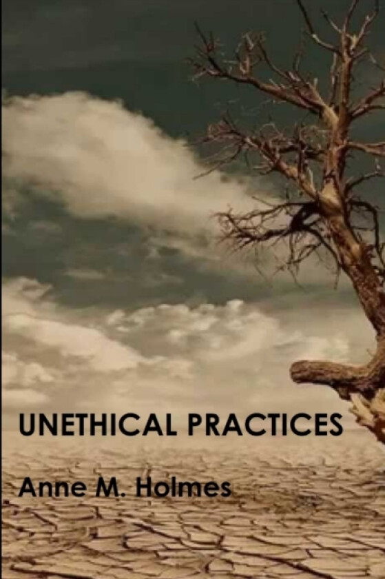 Unethical Practices av Anne M. Holmes (Paperback)