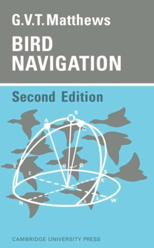 Bird Navigation av G.V.T. Matthews (Paperback)