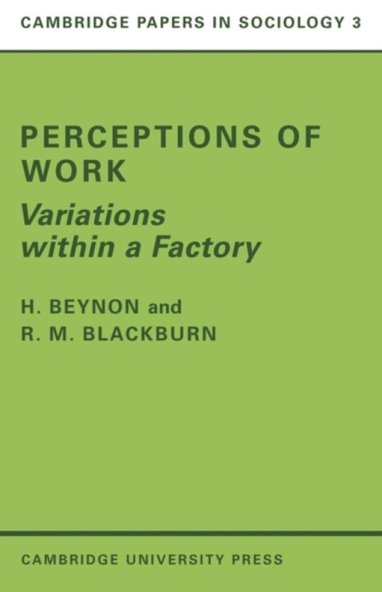 Perceptions of Work av H. Beynon, R.M. Blackburn (Paperback)