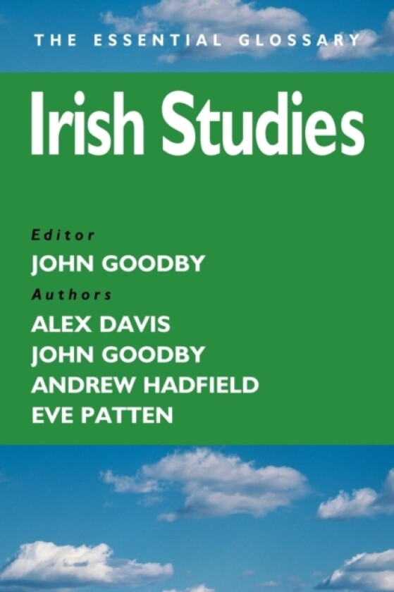 Irish Studies av Professor John Goodby (Paperback)