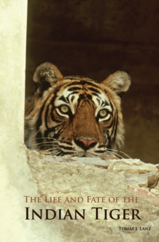 The Life and Fate of the Indian Tiger av Tobias J. Lanz (Hardcover)