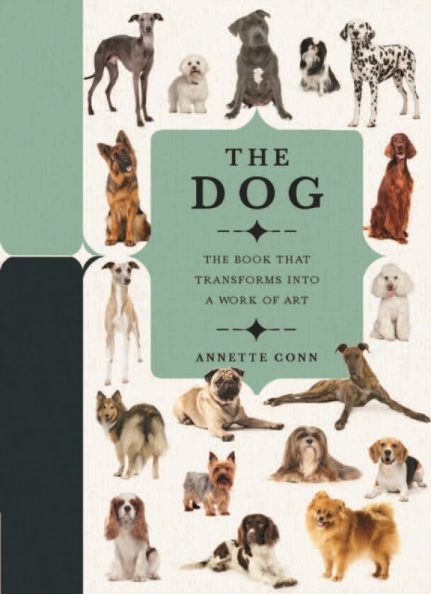Paperscapes: The Dog av Annette Conn, Paperscapes (Hardcover)