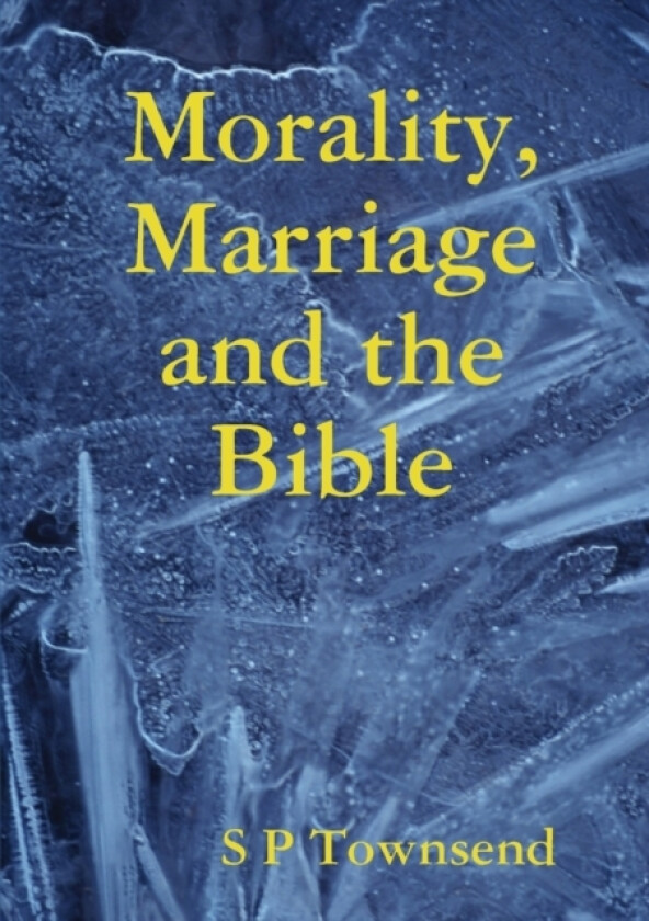 Morality, Marriage and the Bible av S P Townsend (Paperback)