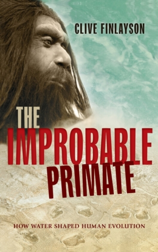 The Improbable Primate av Clive Finlayson (Hardcover)