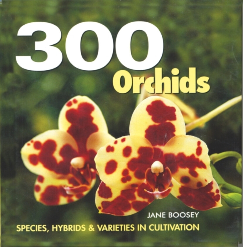 300 Orchids av Jane Boosey (Paperback)