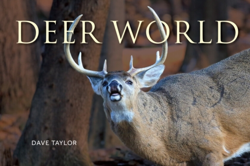 Deer World av Dave Taylor (Paperback)