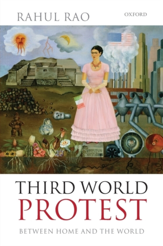 Third World Protest av Rahul Rao (Paperback)