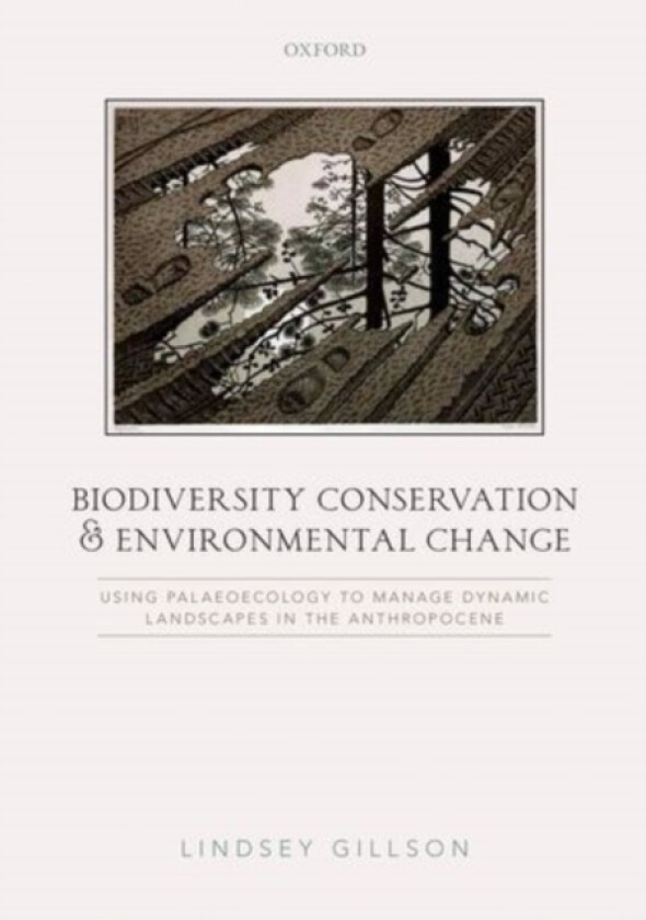 Biodiversity Conservation and Environmental Change av Lindsey Gillson (Paperback)