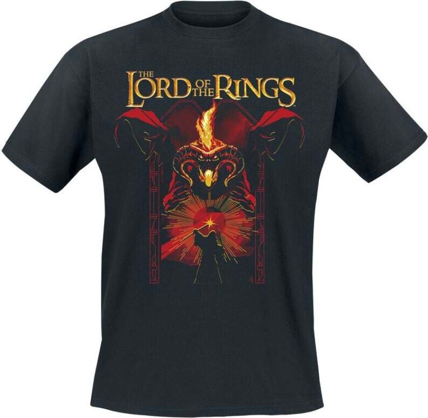 T-skjorte - You Shall Not Pass - M til 3XL - Herrer - svart
