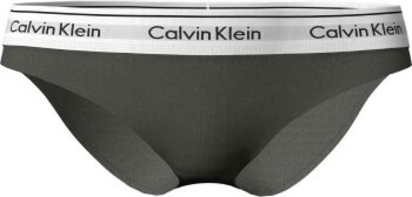Calvin Klein Modern Cotton Bikini Brief
