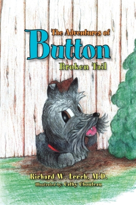 The Adventures of Button av Richard W M D Leech (Paperback)