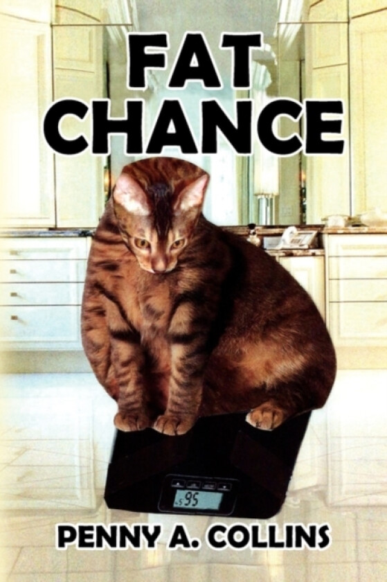 Fat Chance av Penny A Collins (Paperback)