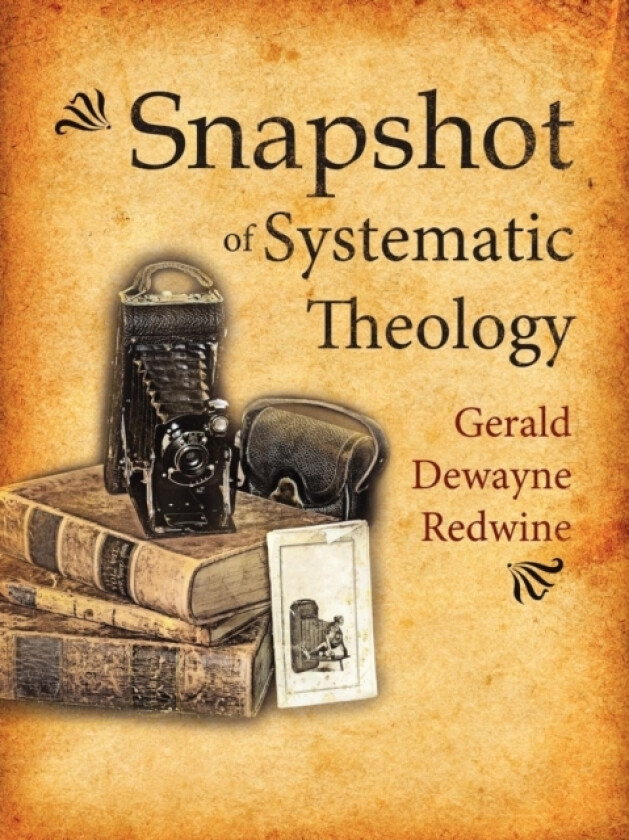 Snapshot of Systematic Theology av Gerald Dewayne Redwine (Paperback)