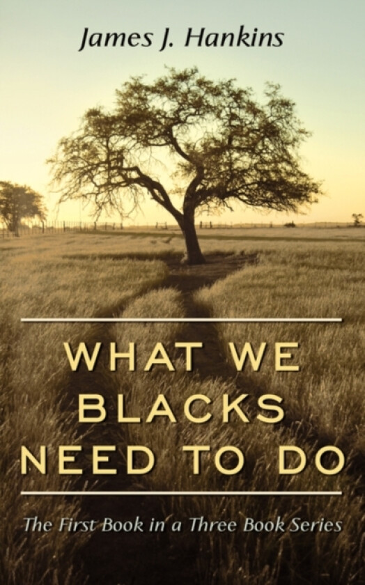 What We Blacks Need To Do av James J. Hankins (Paperback)