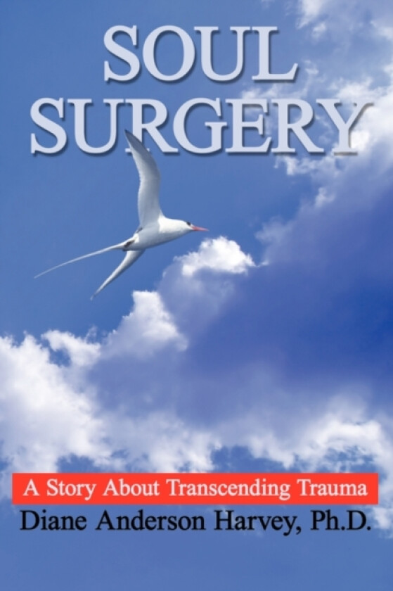 Soul Surgery av Diane Anderson Harvey (Paperback)