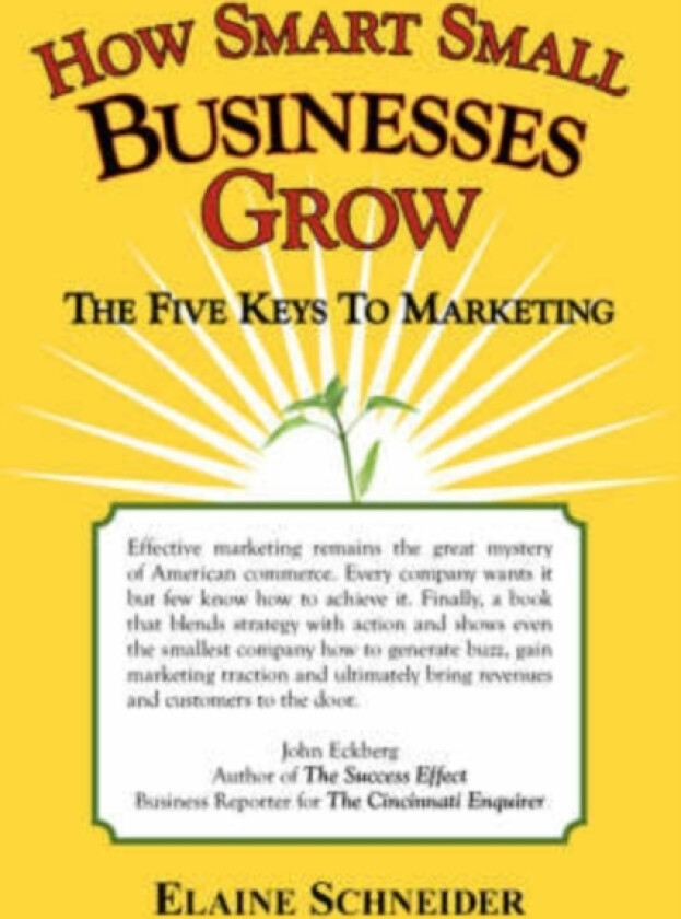 How Smart Small Businesses Grow av Elaine Schneider (Paperback)