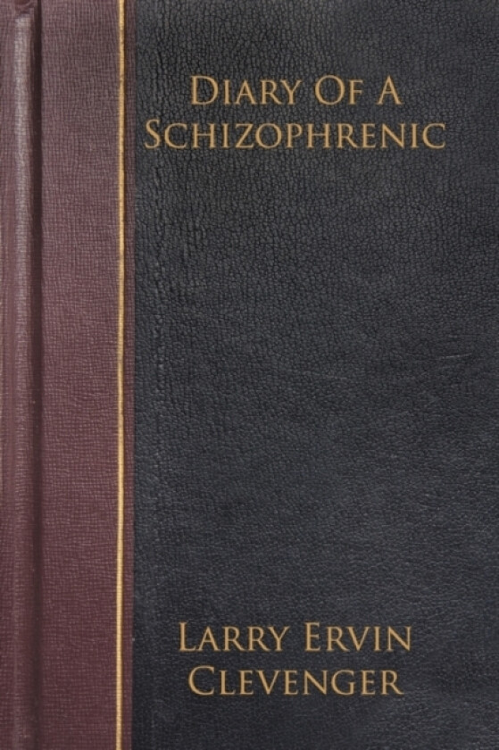 Diary Of A Schizophrenic av Larry Ervin Clevenger (Paperback)