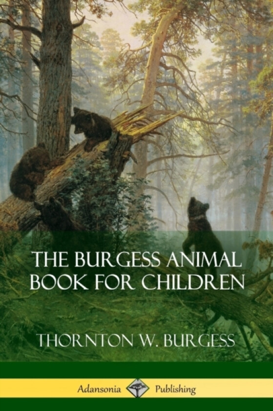 The Burgess Animal Book for Children av Thornton W Burgess (Paperback)