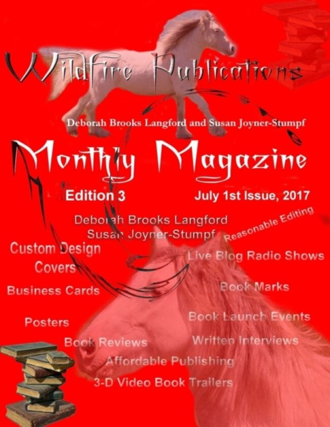 Wildfire Publications Magazine av Deborah Brooks Lang Susan Joyner-Stumpf (Paperback)