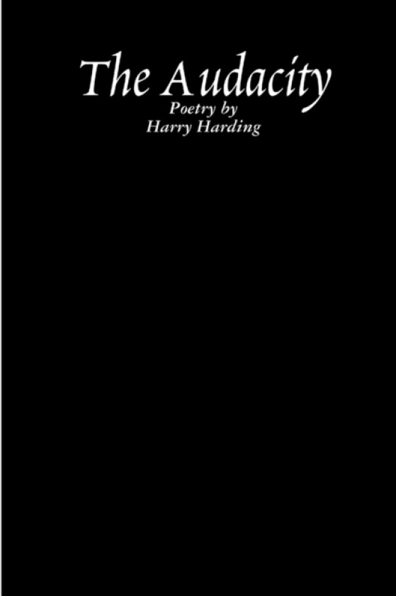 The Audacity av Harry Harding (Paperback)