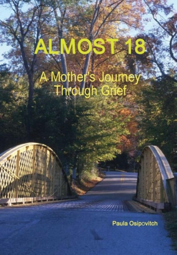 Almost 18 av Paula Osipovitch (Hardcover)