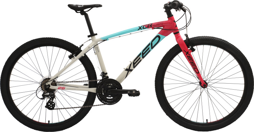 Xeed Xc R Jr 26 Grey/Mint 14
