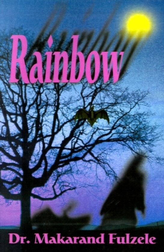 Rainbow av Dr Makarand Fulzele (Paperback)