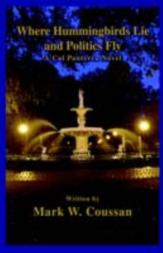 Where Hummingbirds Lie and Politics Fly av Mark W Coussan (Paperback)