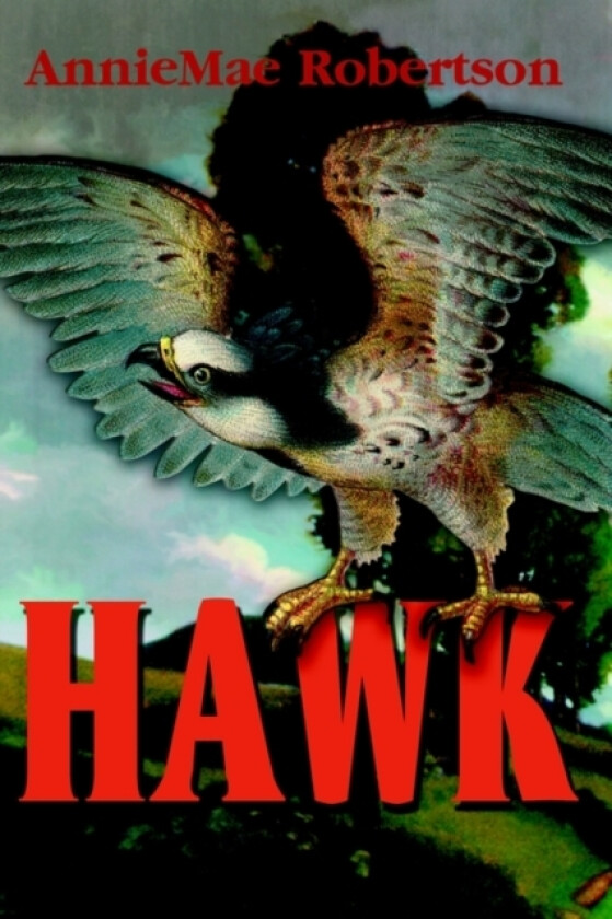 Hawk av Anniemae Robertson (Paperback)