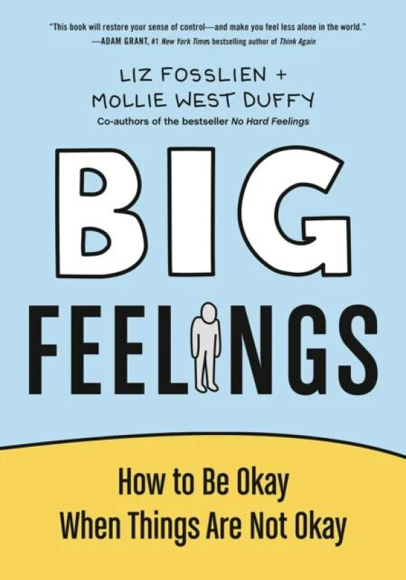 Big Feelings av Liz Fosslien, Mollie West Duffy