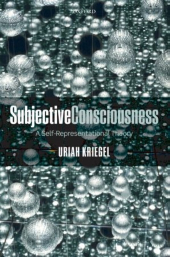 Subjective Consciousness av Uriah Kriegel (Paperback)