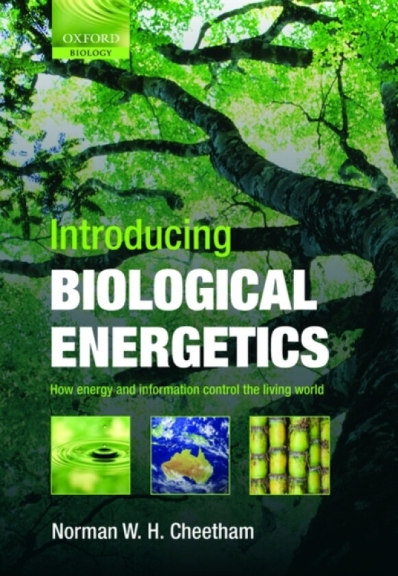Introducing Biological Energetics av Norman W.H. Cheetham (Paperback)