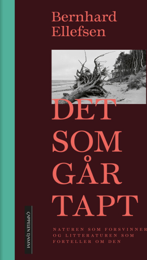 Det som går tapt av Bernhard Ellefsen