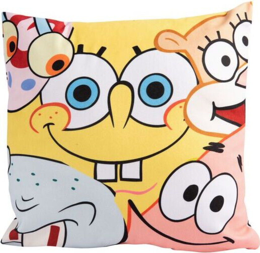 SpongeBob SquarePants Puter - Allover - Friends - None - flerfarget