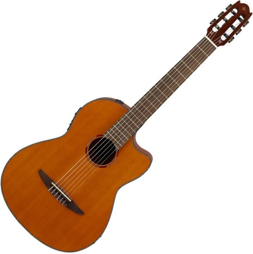 NCX1C Electro Nylon String Natural