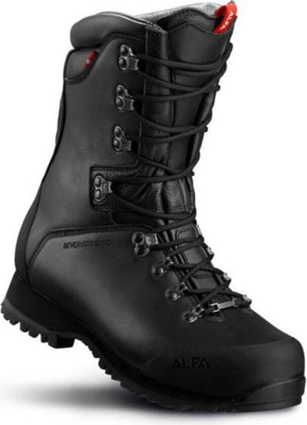 Bever Perform Gtx male 44