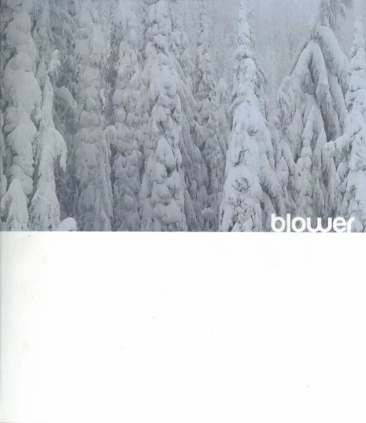 Blower: Snowboarding Inside out av Jeff Curtes, Jared Eberhardt