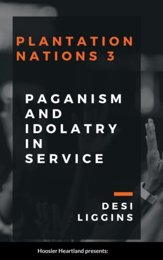 The Plantation Nations 3 av Desi Liggins (Hardcover)