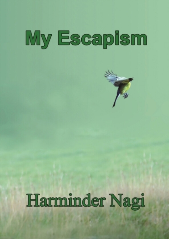 My Escapism av Harminder Nagi (Paperback)