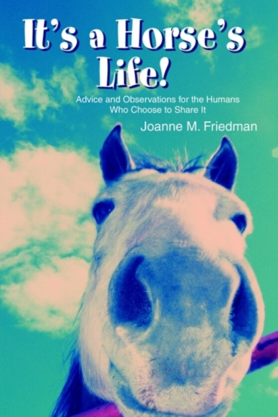 It's a Horse's Life! av Joanne M Friedman (Paperback)