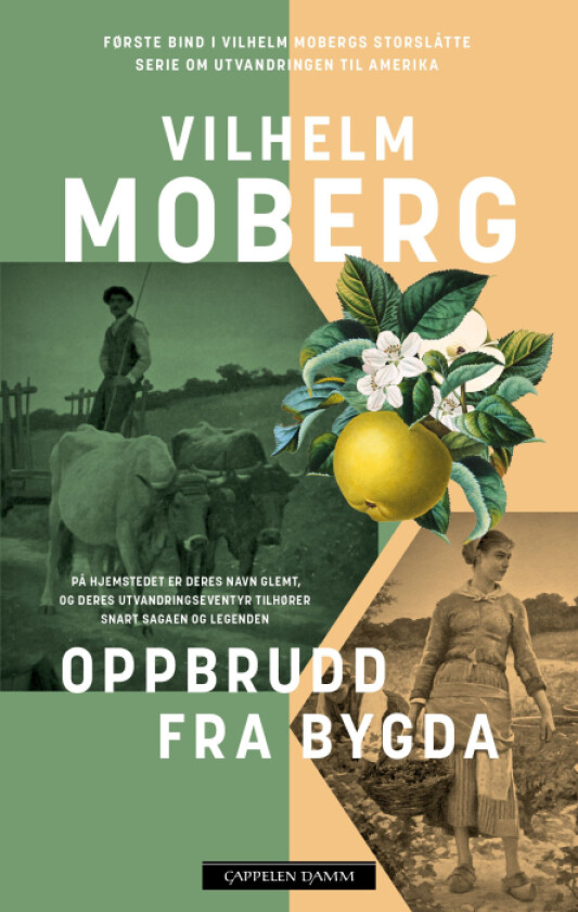 Oppbrudd fra bygda av Vilhelm Moberg