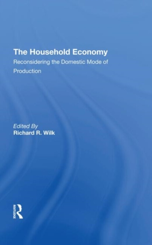The Household Economy av Richard R Wilk (Hardcover)