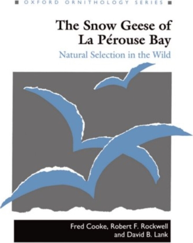 The Snow Geese of La Perouse Bay av Fred Cooke, Robert F. Rockwell, David B. Lank (Hardcover)