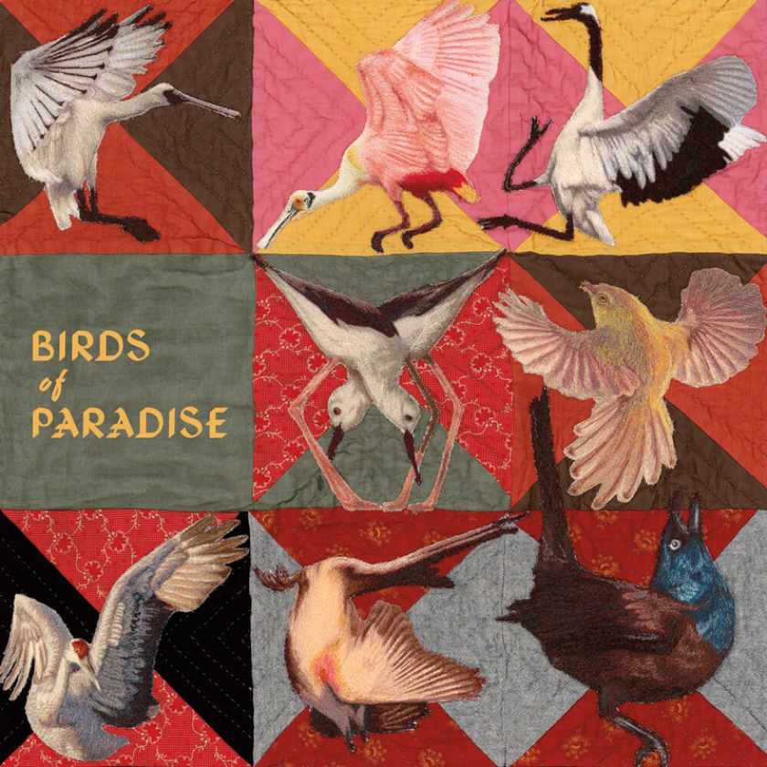 Thomas Dollbaum Birds Of Paradise CD